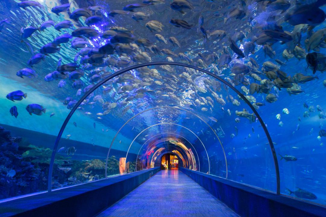 发布会丨发福利、送奖品、跑半马、听音乐……本周六起,巴南邀你陆海之约