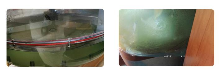 怎样使用划船机不伤膝盖,划船机如何不用腰发力