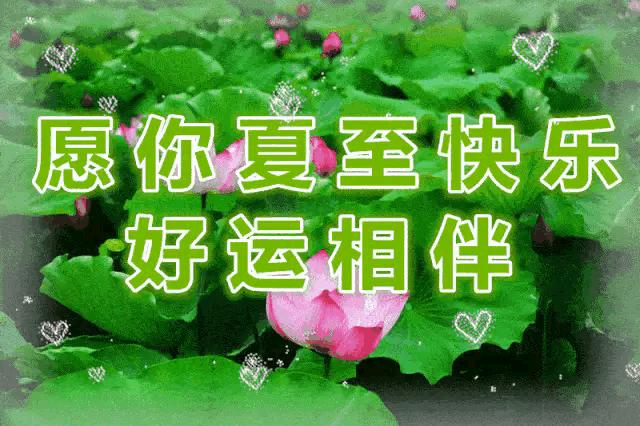 夏至节气感慨,今日夏至话题