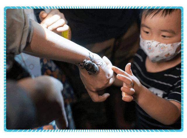 上海沉浸式夜游公园,上海森林公园夜游