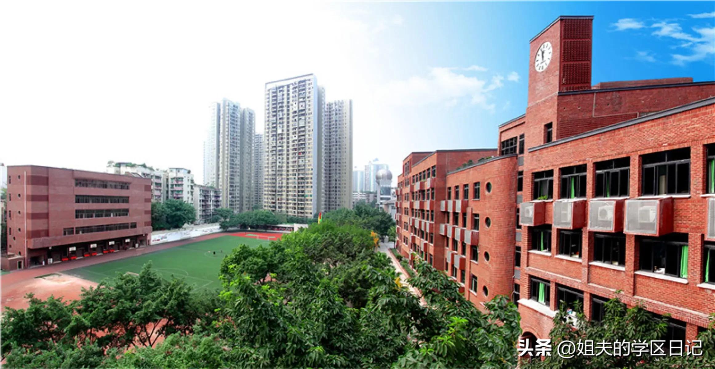 重庆九龙坡区石坪桥小学,重庆九龙坡区盘龙小学