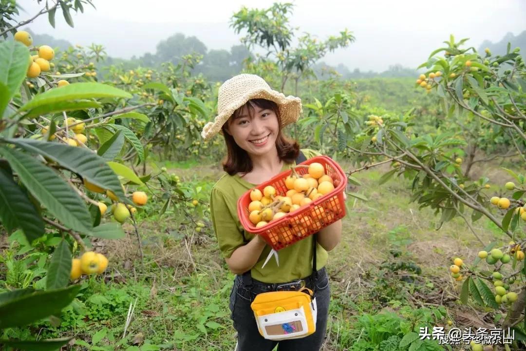 京山摄影爱好者,京山市摄影最牛的人