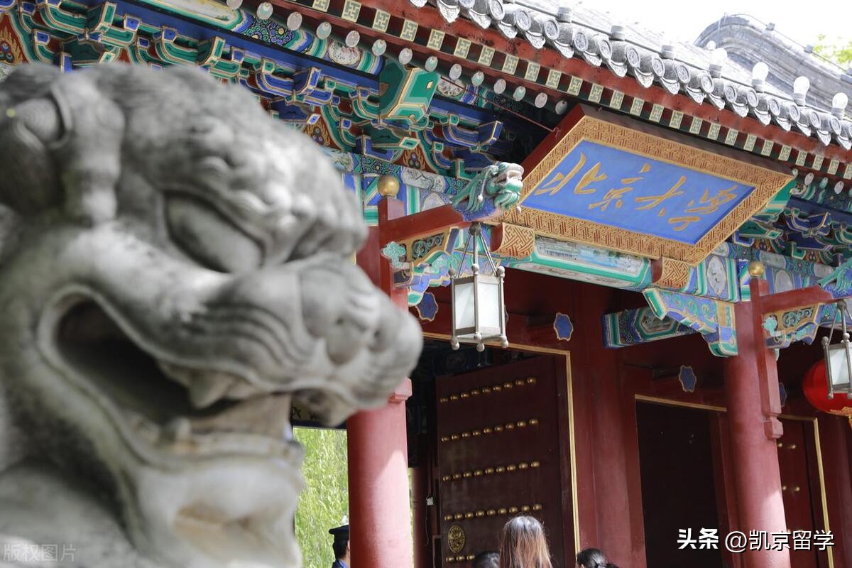 文科生的学术和职业规划,文科生在学校里的职业规划