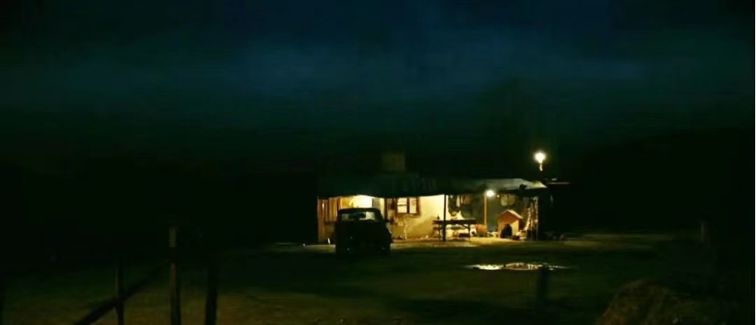 野梨树完整版免费观看,关于野梨树的电影