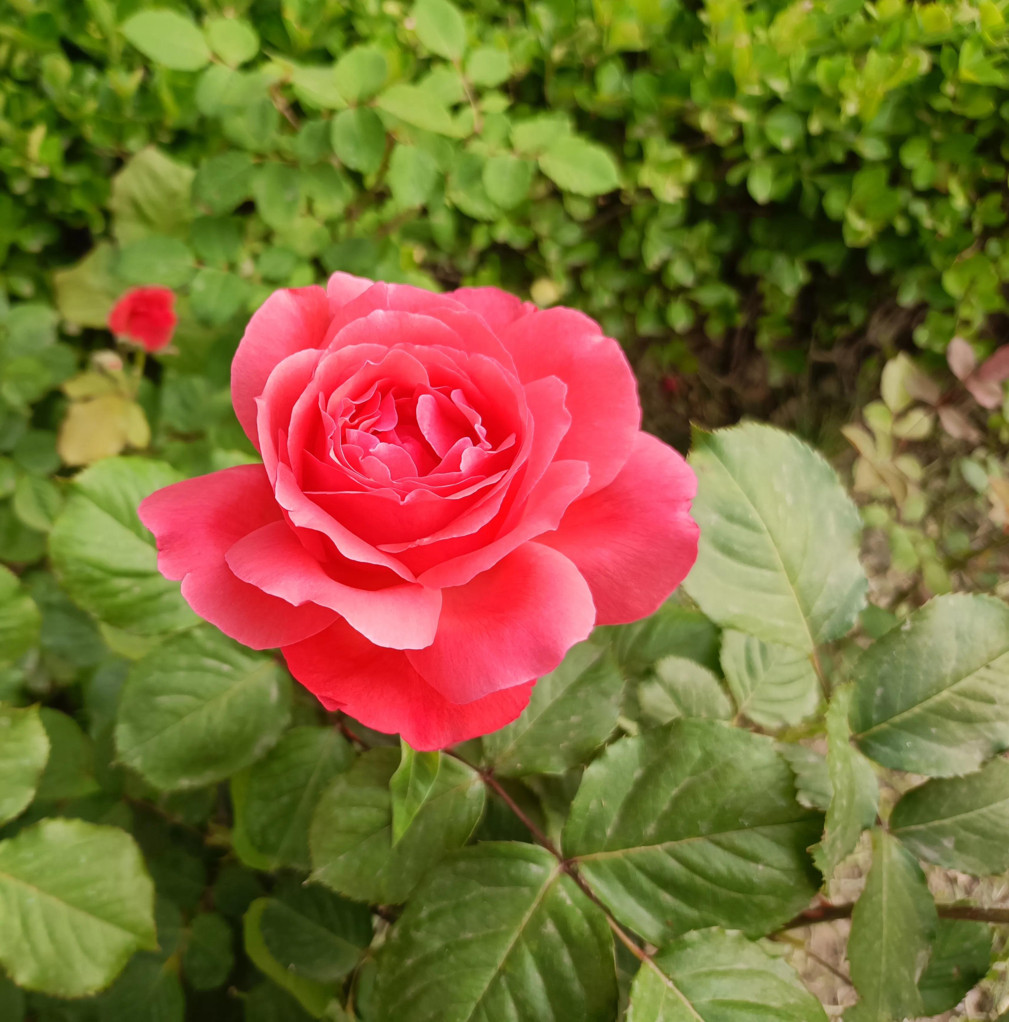 南京哪些靠谱公司招大专,南京值得推荐的公司