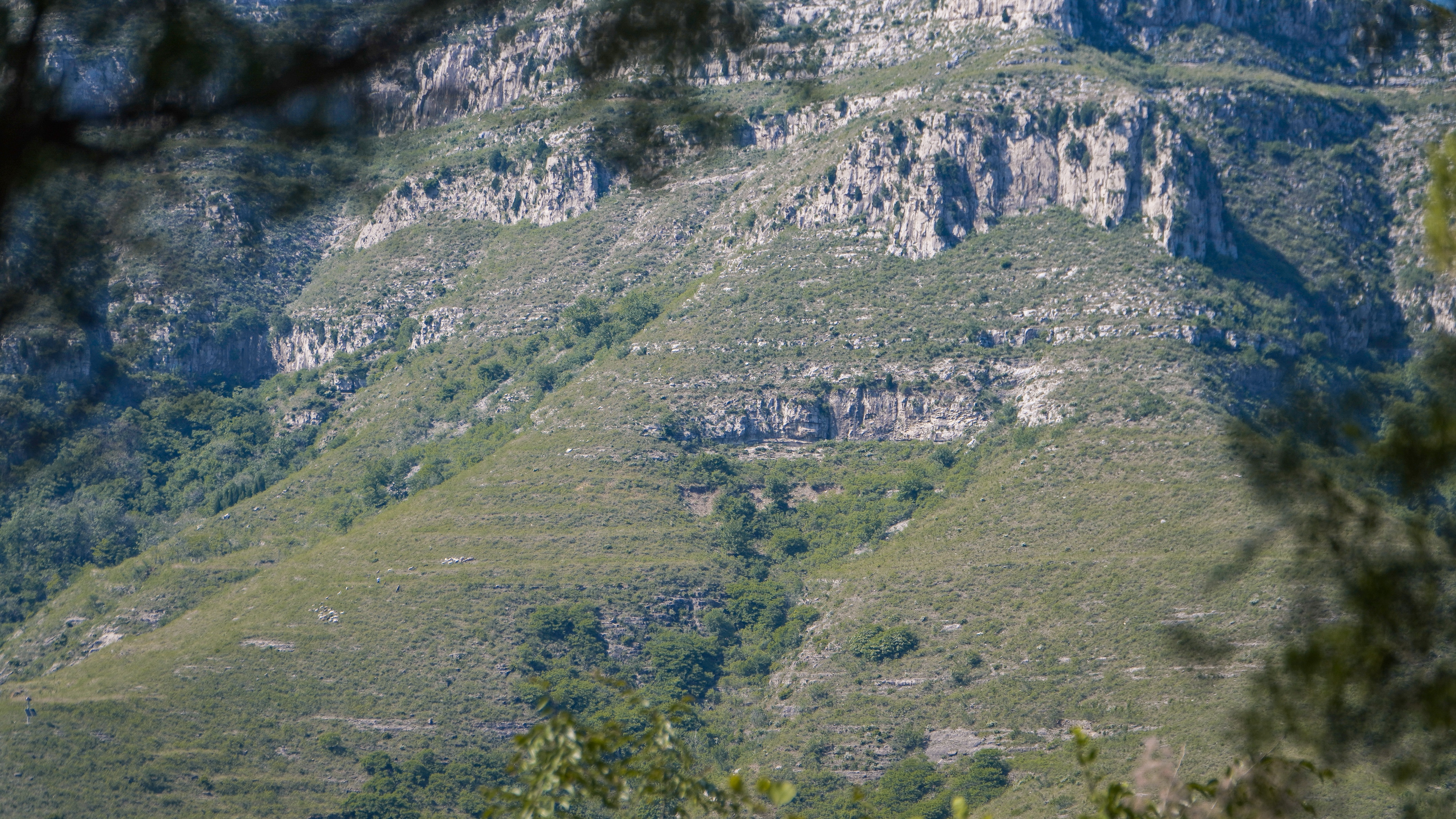 青州黄花溪介绍,推荐一个好地方青州黄花溪