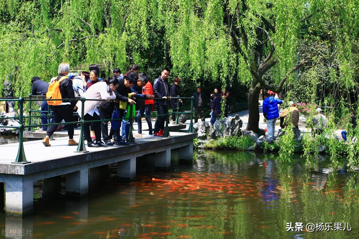 杭州西湖十景攻略,杭州十景旅游攻略