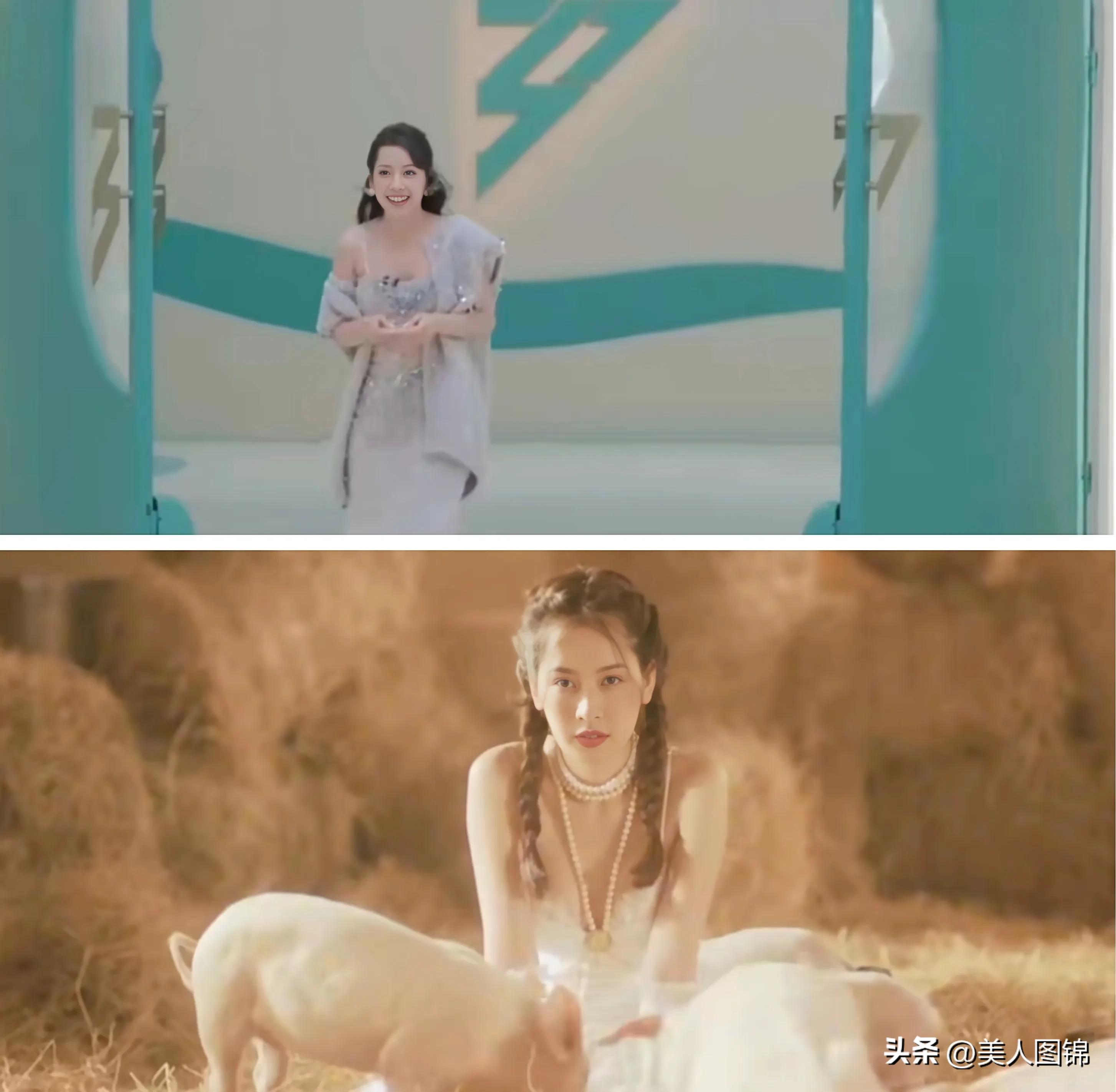 越南芝芙,芝芙越南