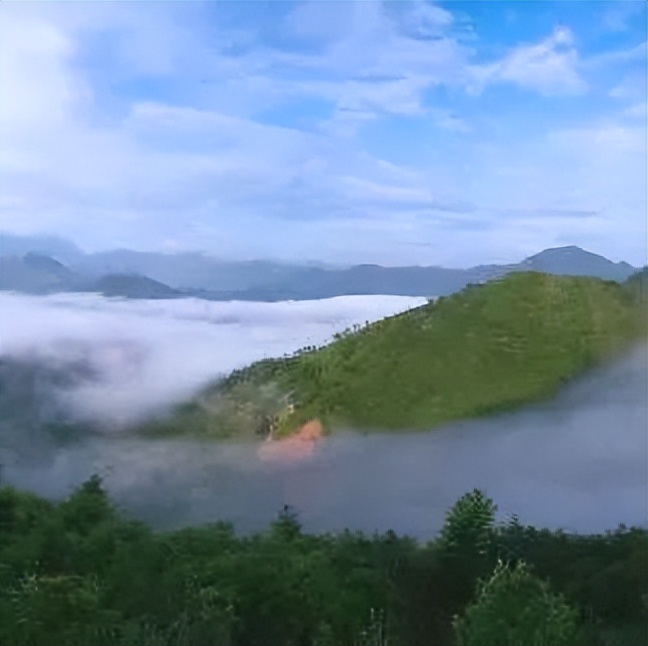 【上饶天下SHOW之广信区】中华蜜蜂谷:藏在五府山竹海密林中的蜜蜂“乐园”