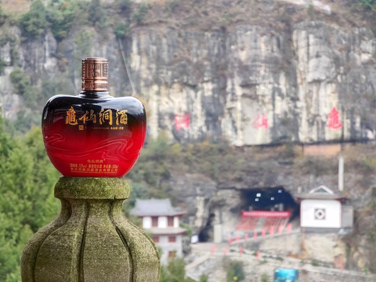 中酒展国台,龟仙洞国帅酱酒53度价格