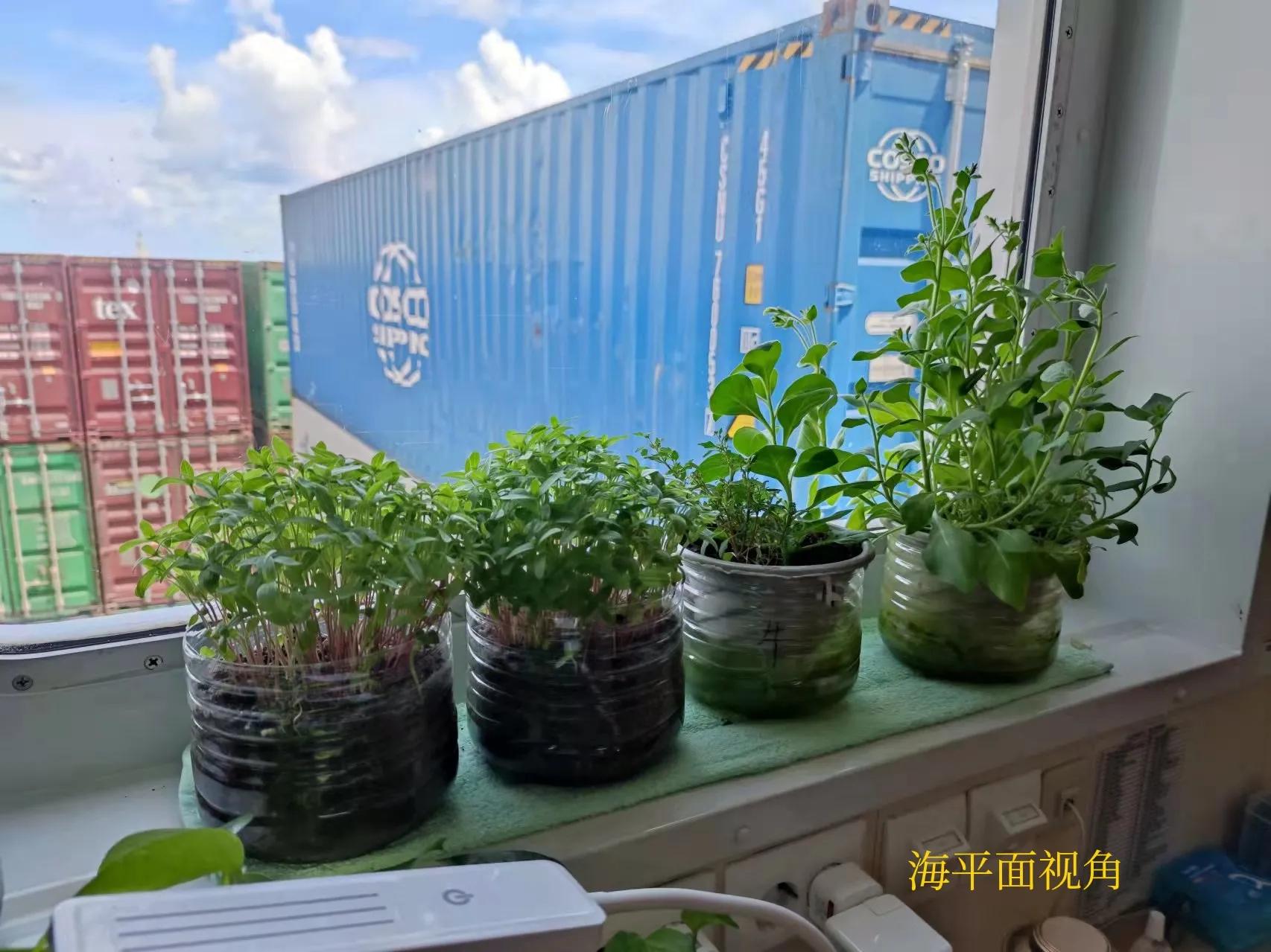 船员的惬意生活,船员寂寞