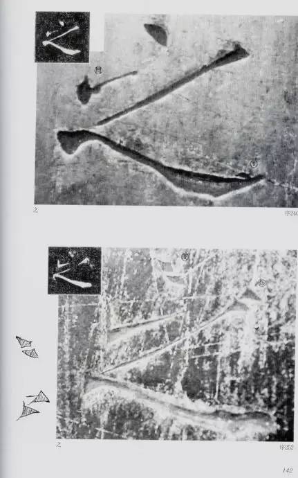 宸ョ瑪鐢绘潹鏅箟鐢诲唽,鏉滈箖鏉ㄦ櫘涔夊畬鏁寸増