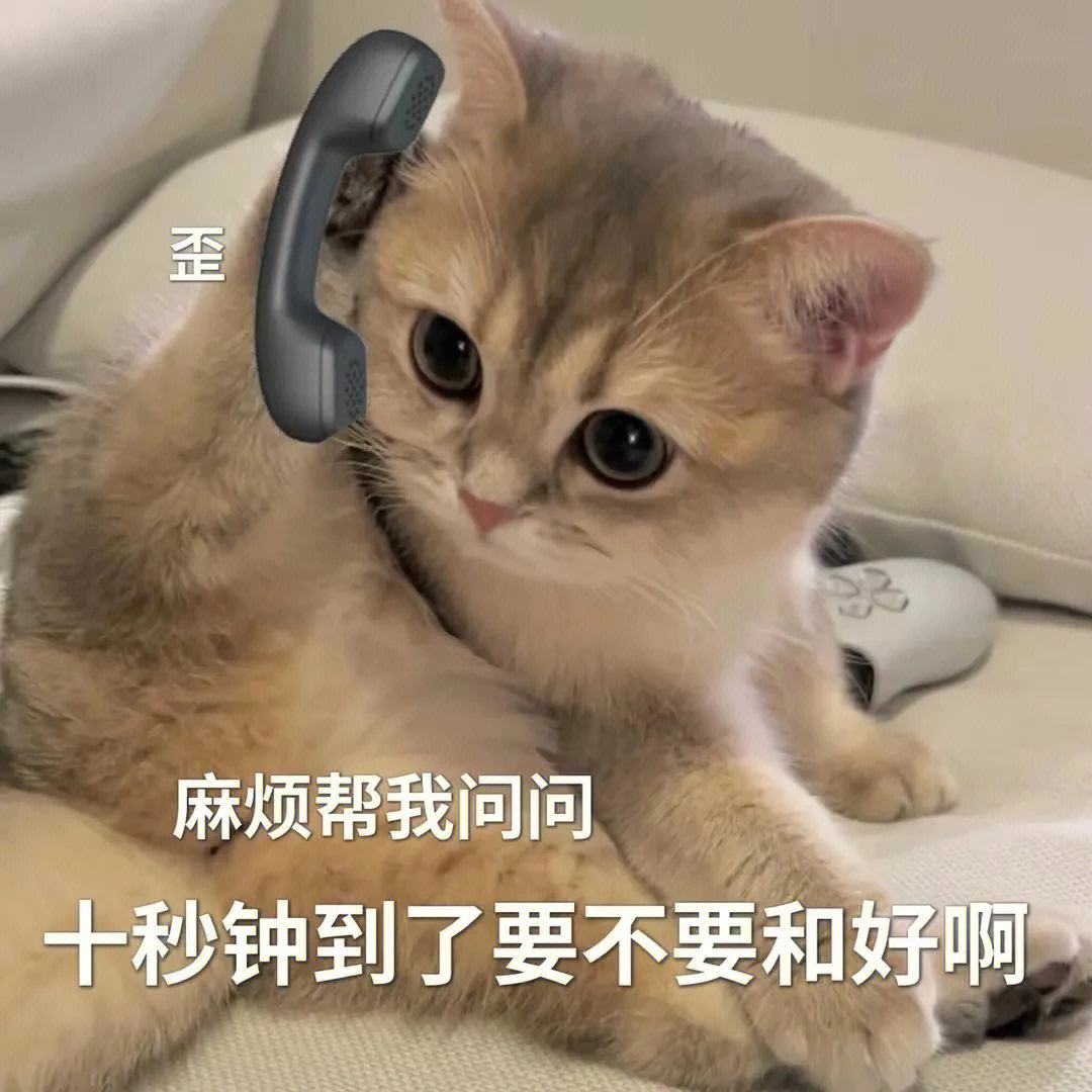 猫咪在纸箱里面挠东西怎么回事,猫咪喜欢啃纸箱