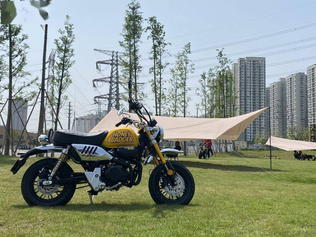 本田幼兽110多少钱一辆,到底谁买本田幼兽110