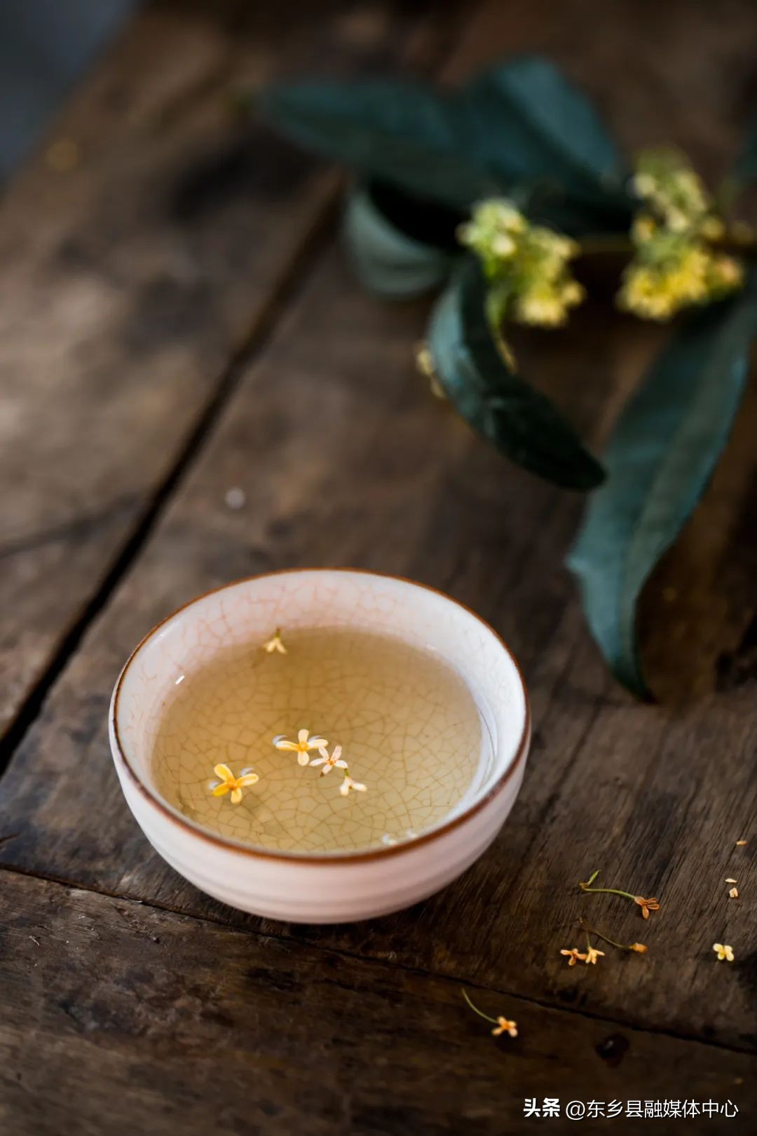 秋天丰收的雅称大全,秋天的雅称有哪几种