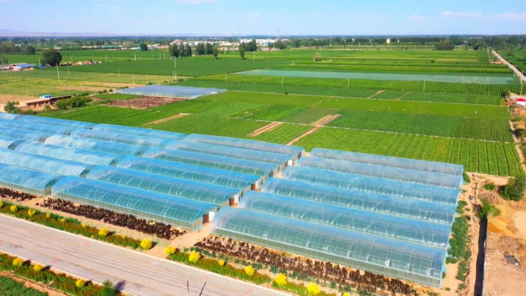 农业部门三抓三促专项行动简报,三抓三促农业生产