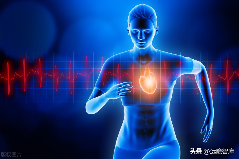 专注电生理介入诊疗，微电生理：市场高速成长，国产替代空间巨大