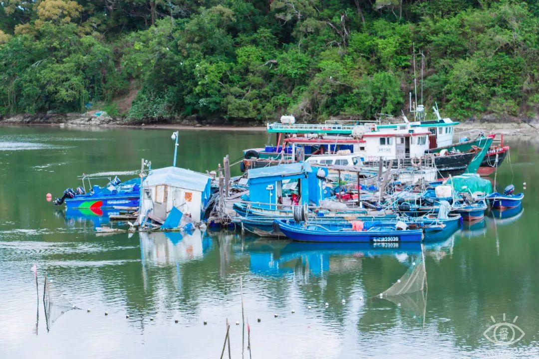 深圳10个小众打卡地,深圳十大免费打卡地