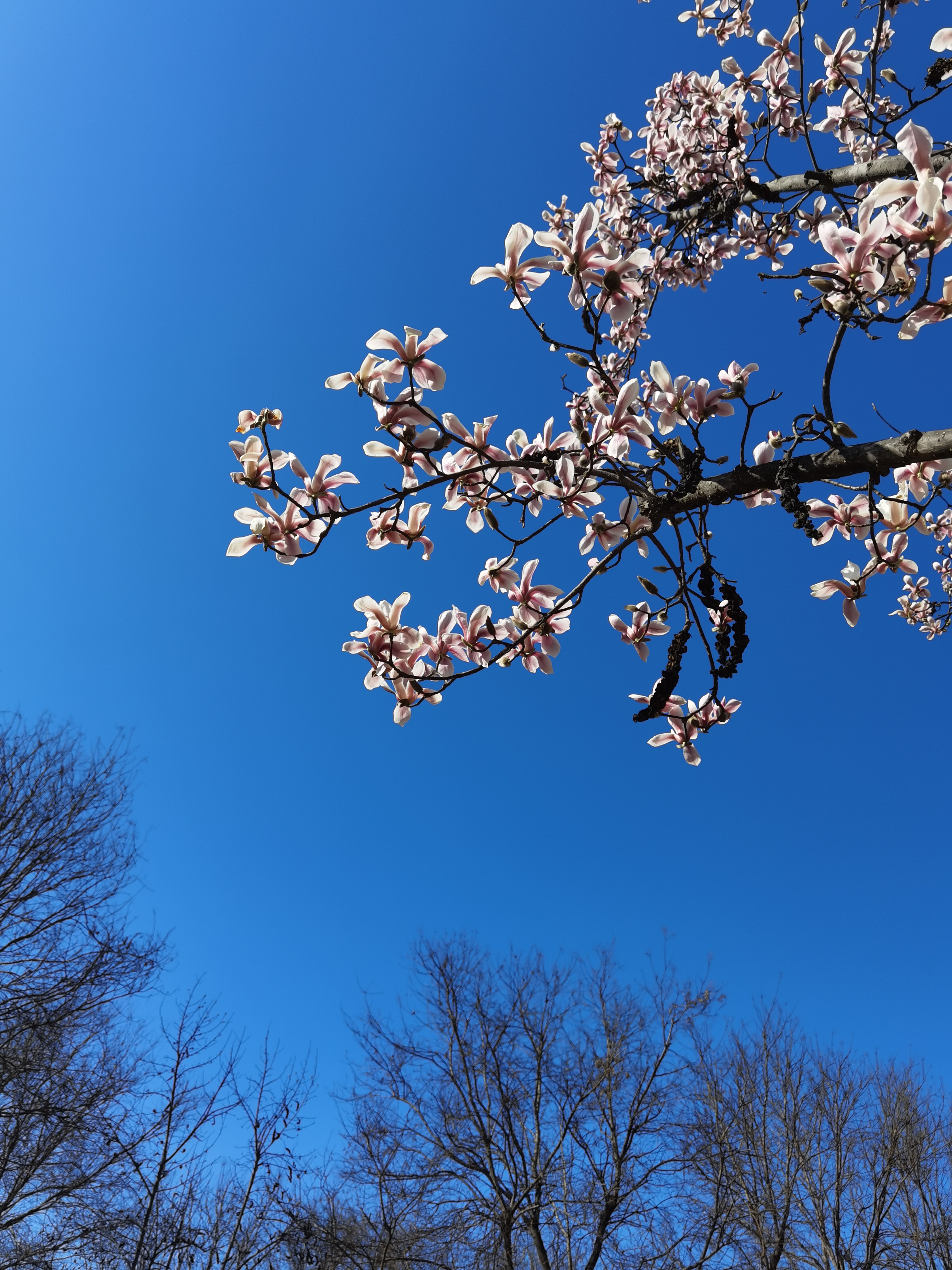 孔明的著作大全,孔明的散文