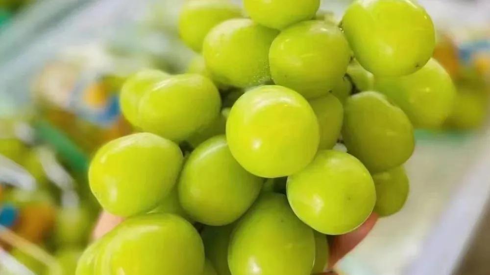 水果店有哪些销售术语,卖水果店的技巧和话术