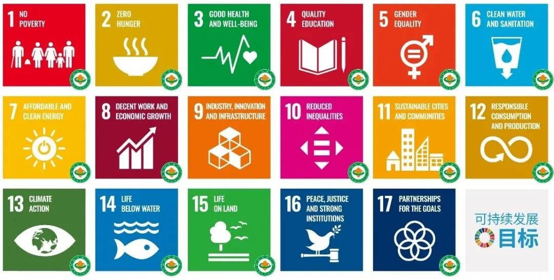 专家谈碳中和,碳中和专家访谈