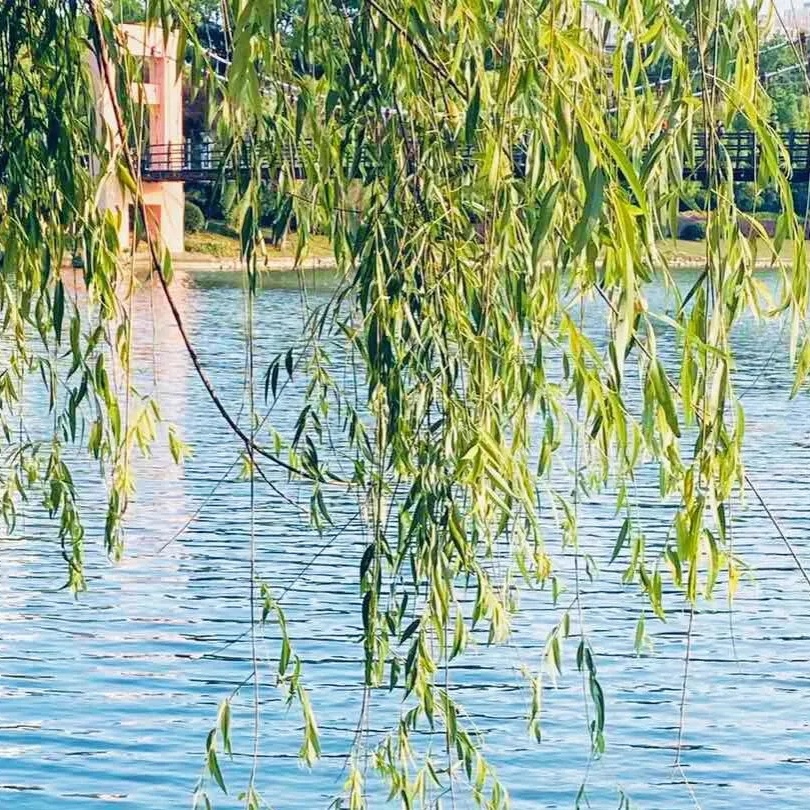 安徽池州旅游攻略酒店推荐,去池州玩住哪里比较好