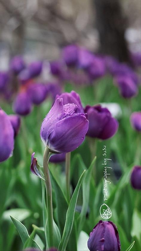 福建省福州市几个区,中国34个省级行政区域教学视频