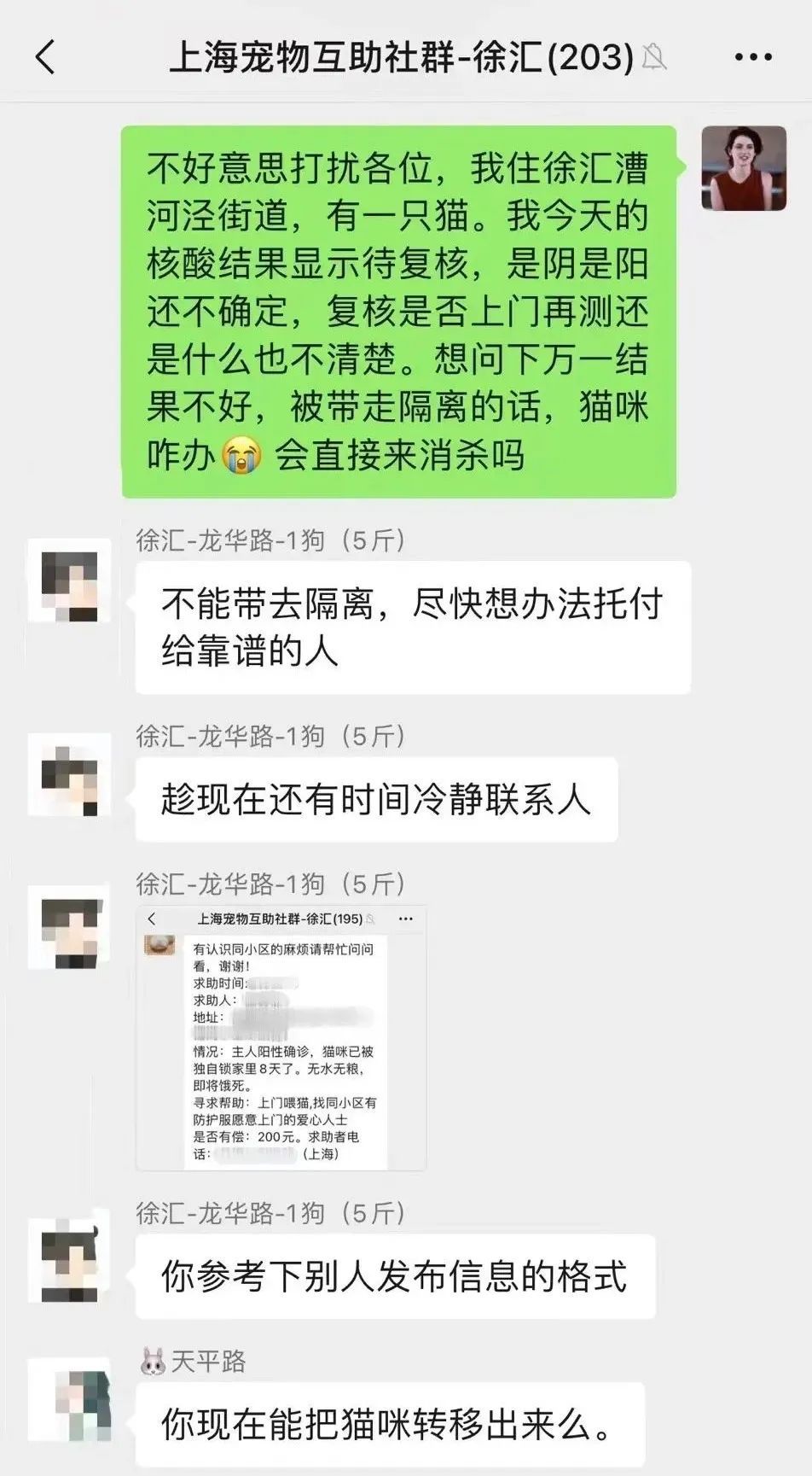 全国首个宠物方舱媒体评论,全国首个宠物方舱建成