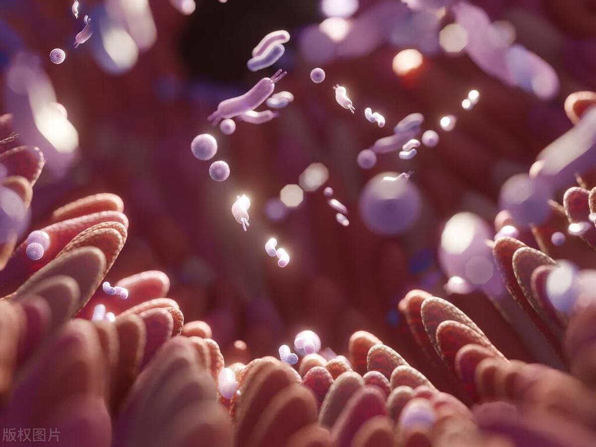 痣越长越大就是癌症的可能吗,身上新增好多痣是不是癌症的先兆