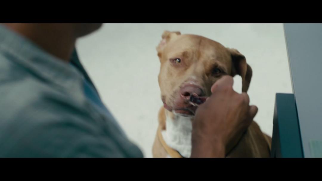 一黑到底、尺度炸裂，这种片子太有意思了