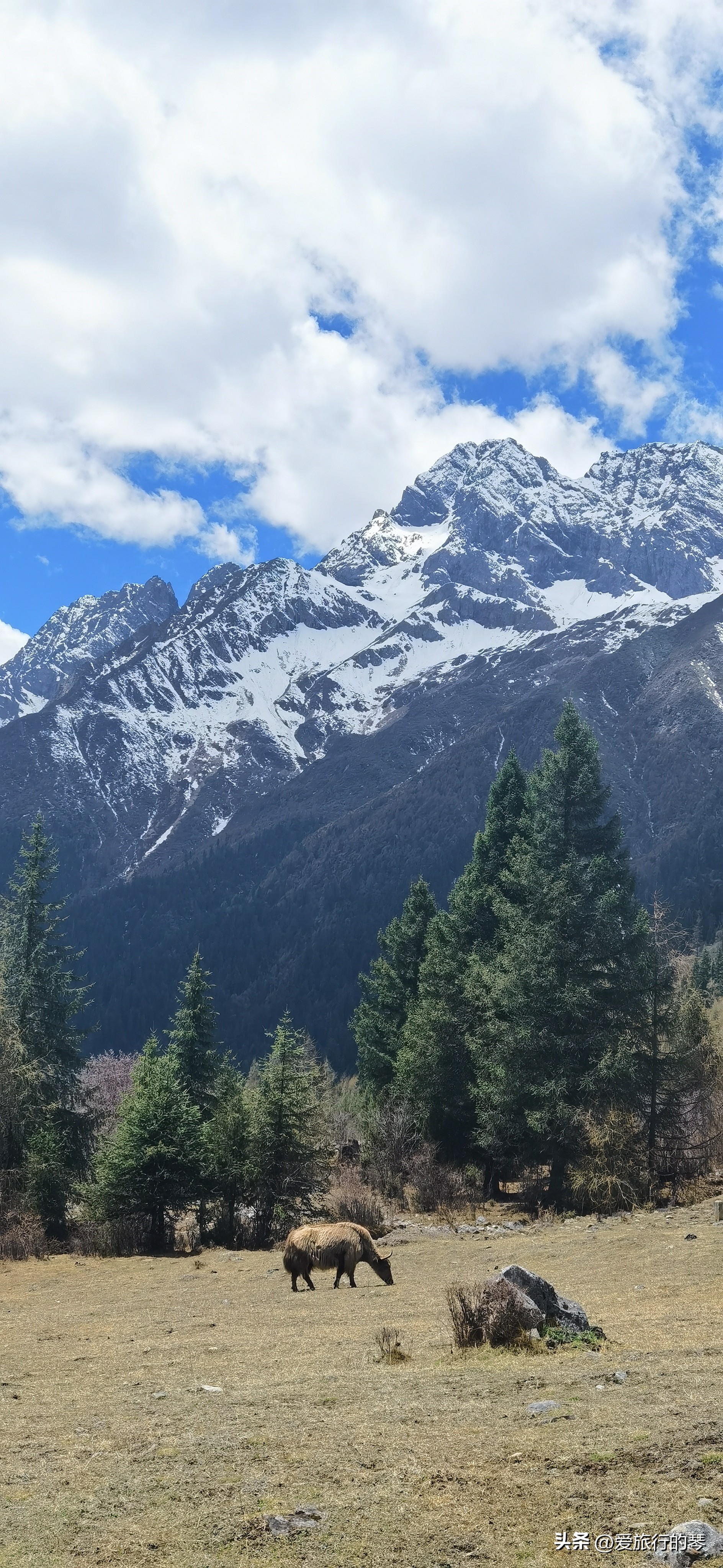 四姑娘山一日游双桥沟,四姑娘山双桥沟一日游攻略