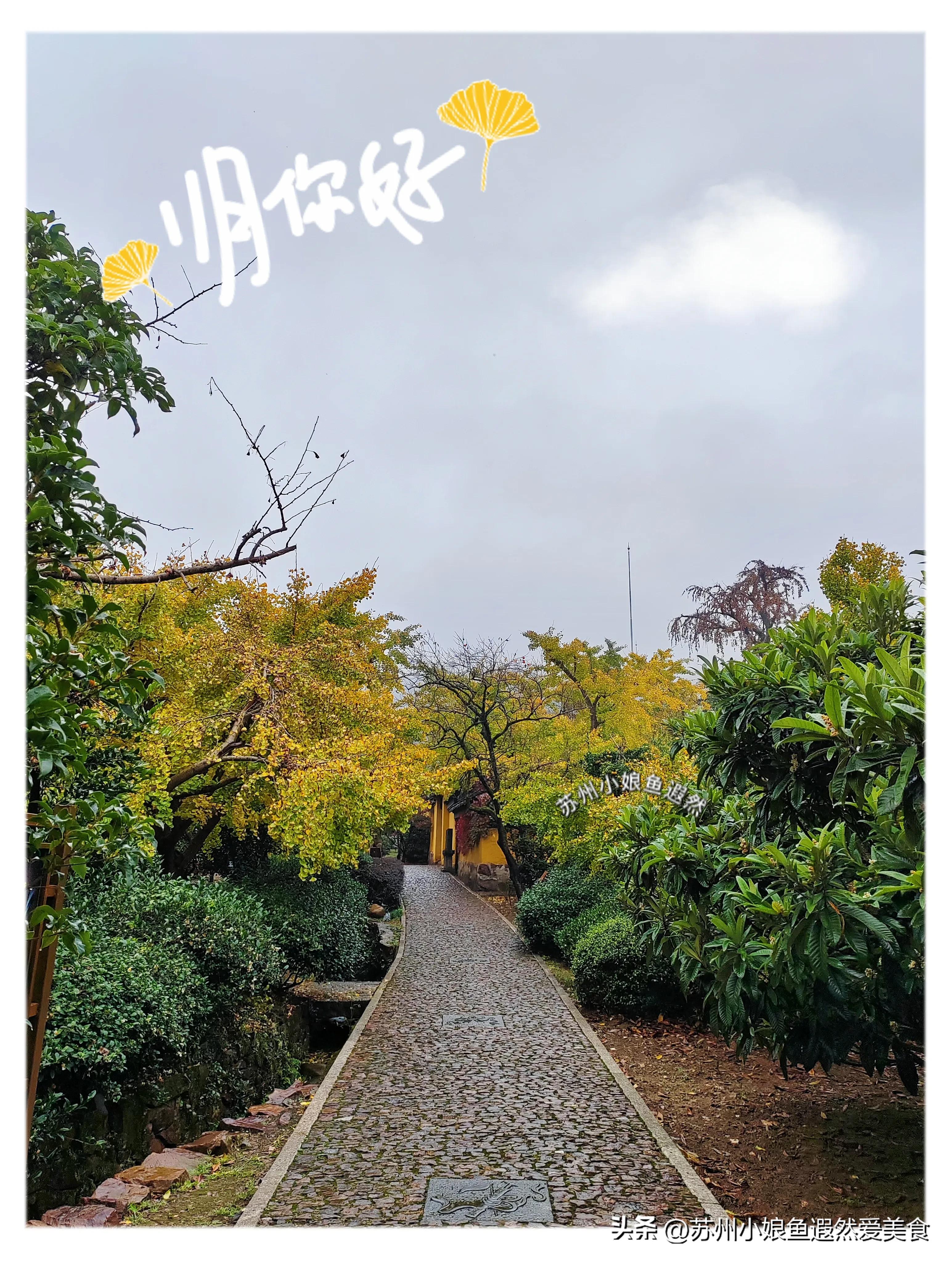 苏州古寨旅游攻略,苏州一日游攻略探索更好玩的景点