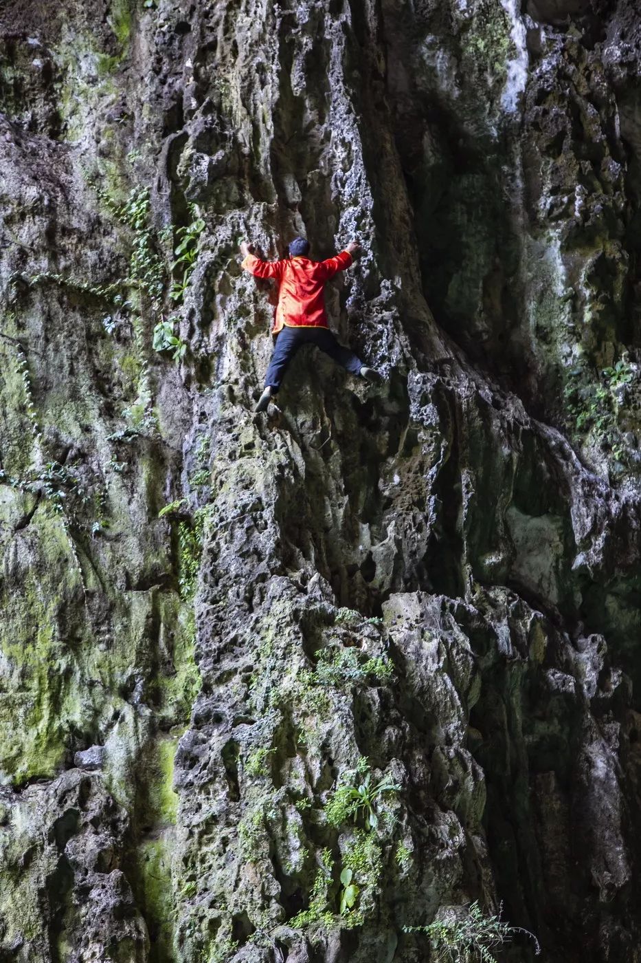 贵州樱花风景区一日游,半城樱花贵阳