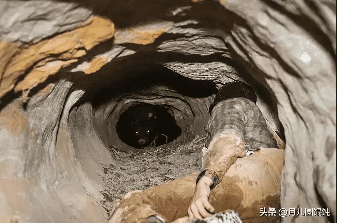 日军日记：*安妇慰**不服从管教，我很愤怒，用*刀刺**插入她的*体下**3