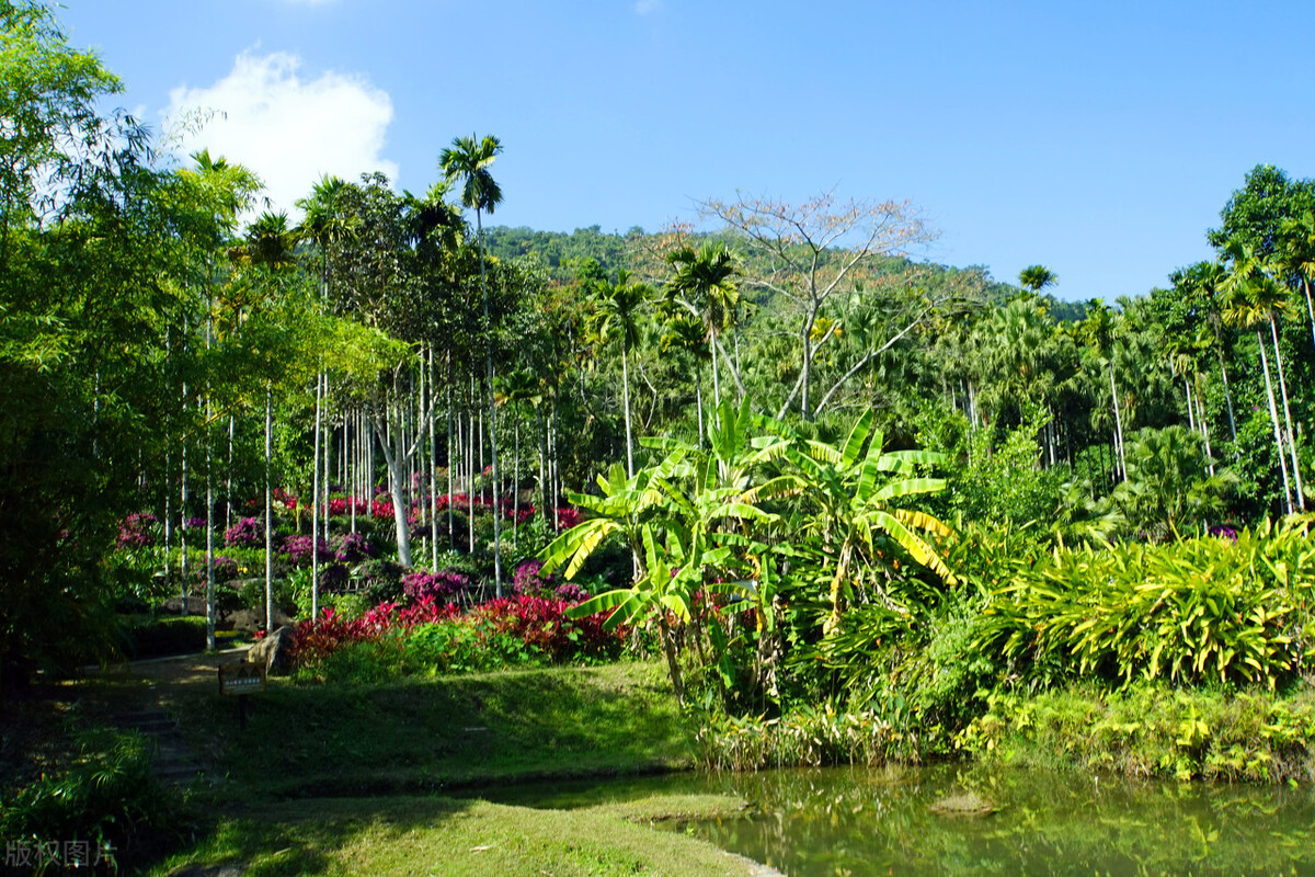 三亚度假旅行,寻找三亚之旅