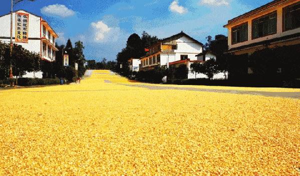 中国农民丰收节物化标识系统怎么设计？请您来支招