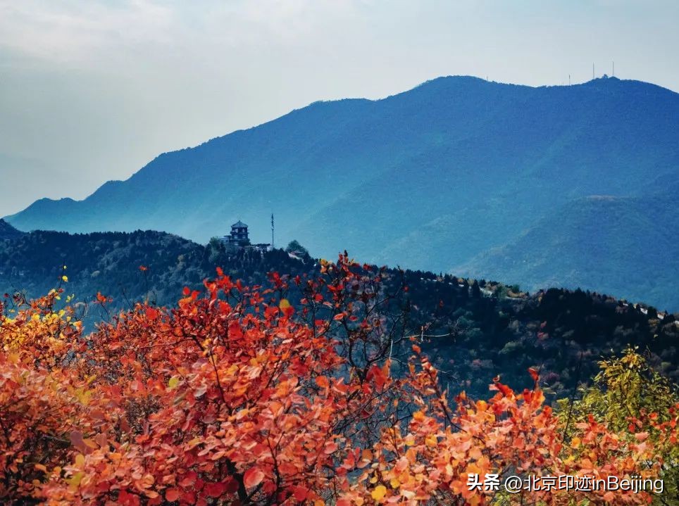 北京的秋朗读,北京的秋的夜晚