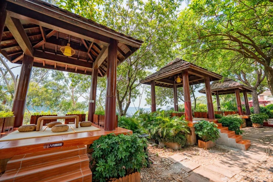 观音山森林公园停车攻略,自驾观音山停车