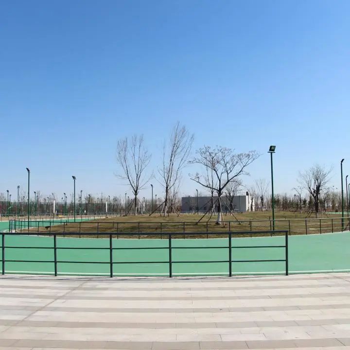 奥体中心收费价格表,东营市奥体中心对外开放公示