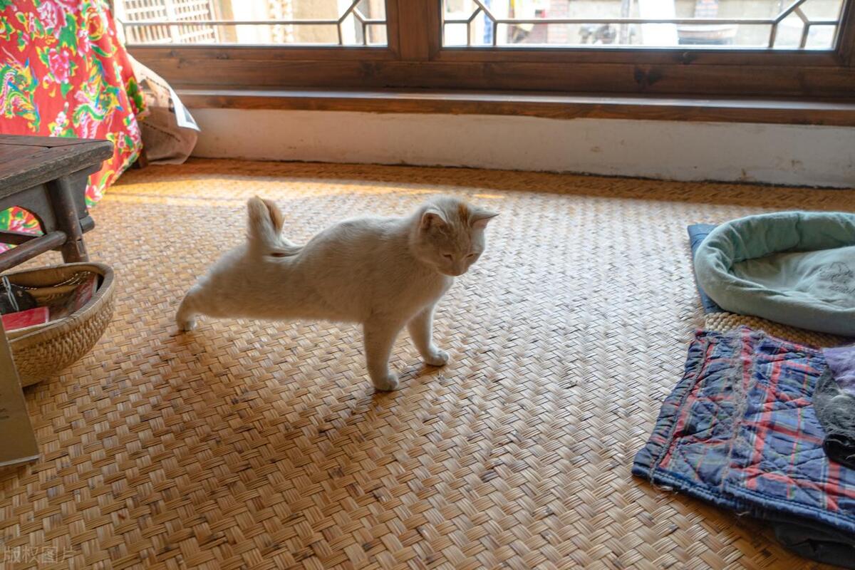 农村即将消失的4种物件,这4样夏季用品别买