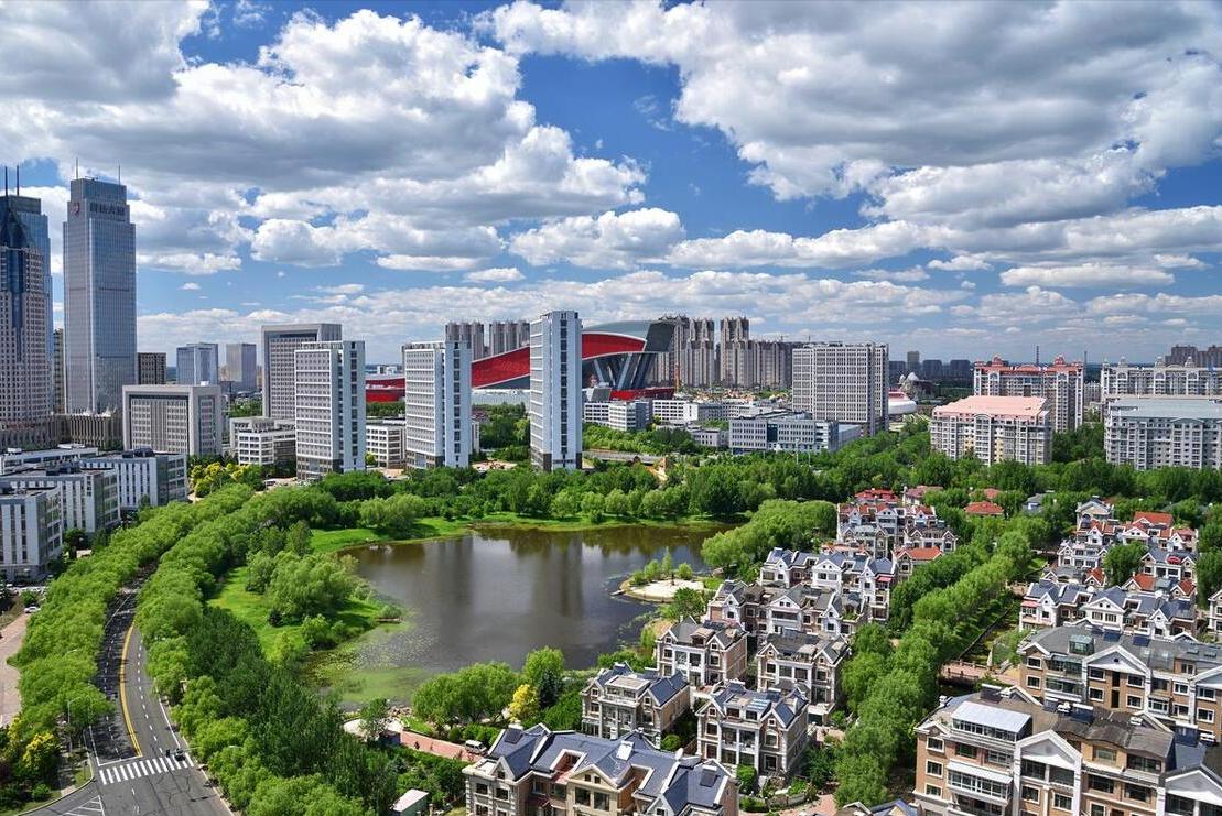 我退休金9000给儿媳8000,五一旅游她说车坐不下,后座拉着一条狗