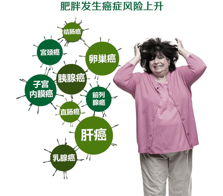 为什么现在的人一到中年就发胖,为什么会发福变胖