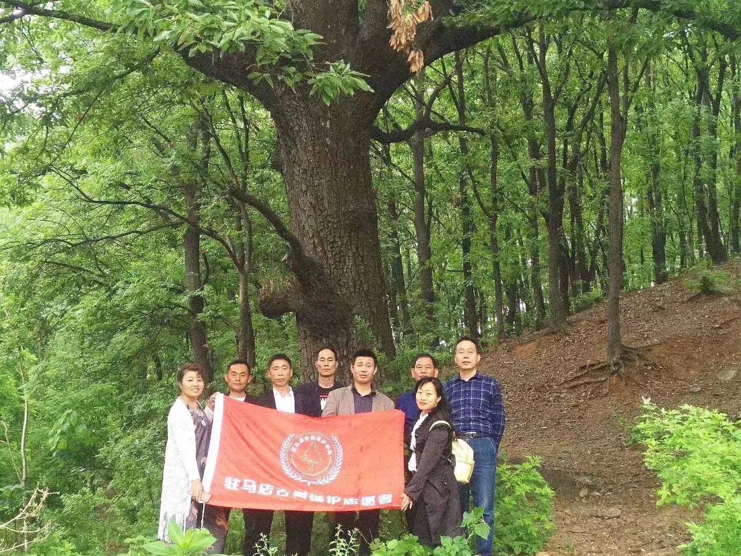 驻马店遂平县凤鸣谷景区地址,遂平凤鸣谷介绍