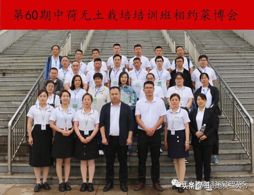 寿光中荷无土栽培基地,山东寿光中荷无土栽培