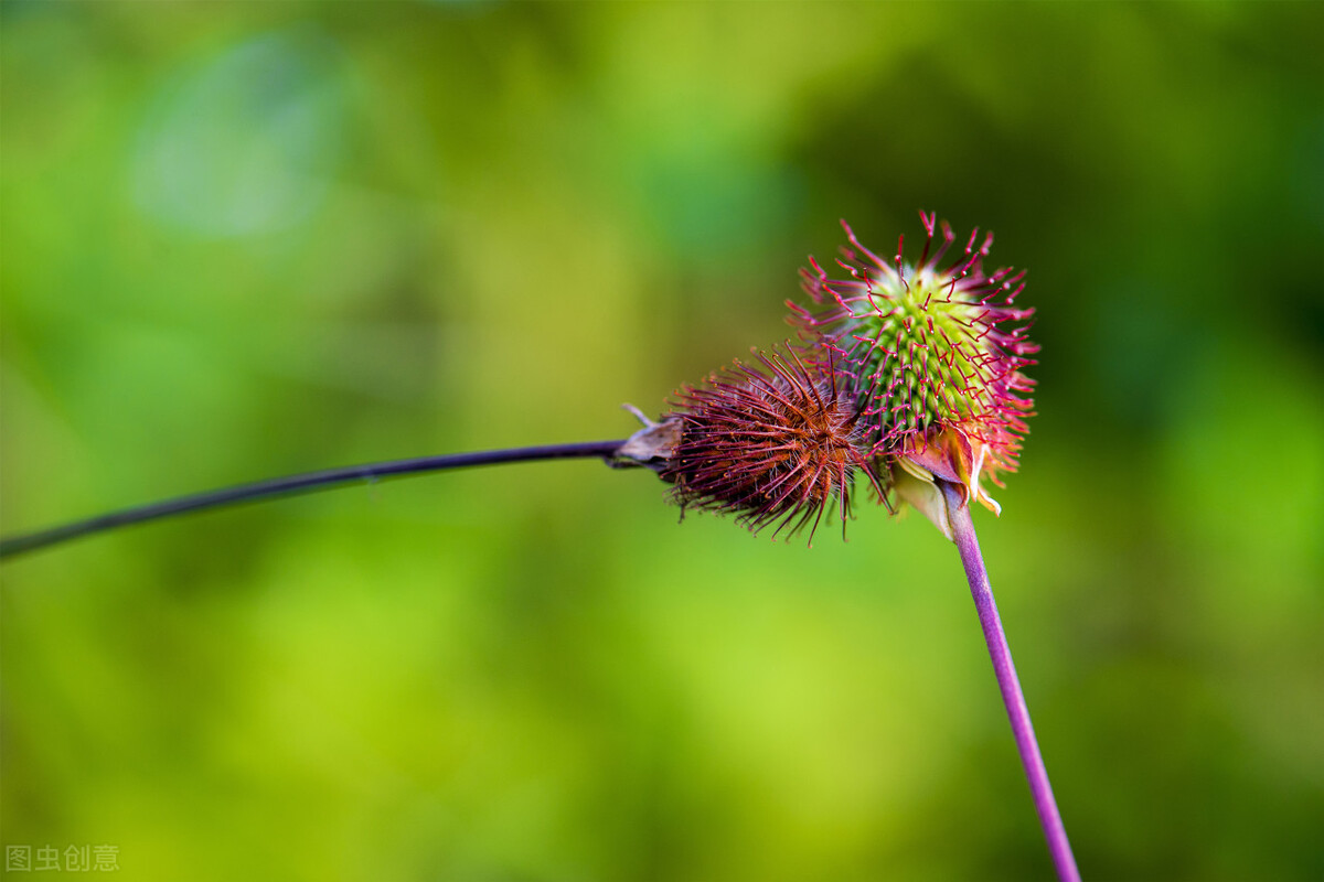 零基础学静点,零基础如何打坐入定