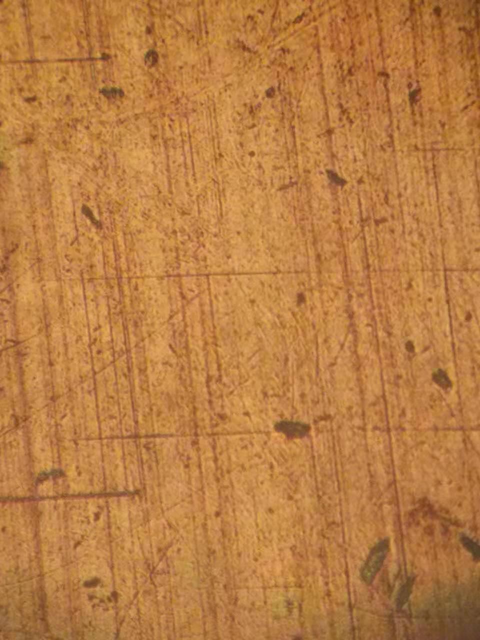 美嘉壳已被超越？痛失小排涡轮增压市场，专家车厂或将选择益飞特