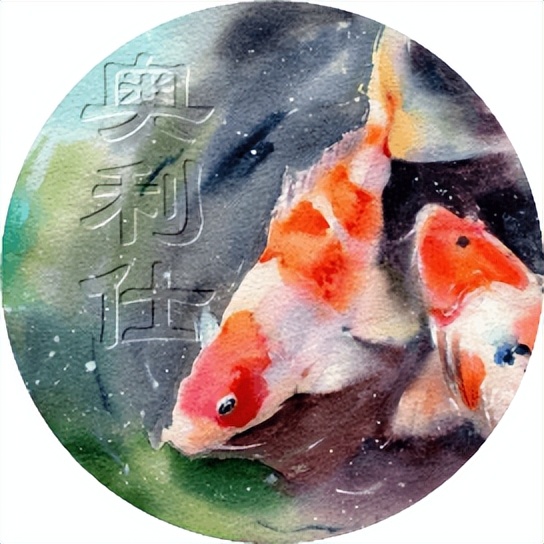 池养锦鲤新手必备十大忠告,锦鲤和什么一起可以有效清理藻类