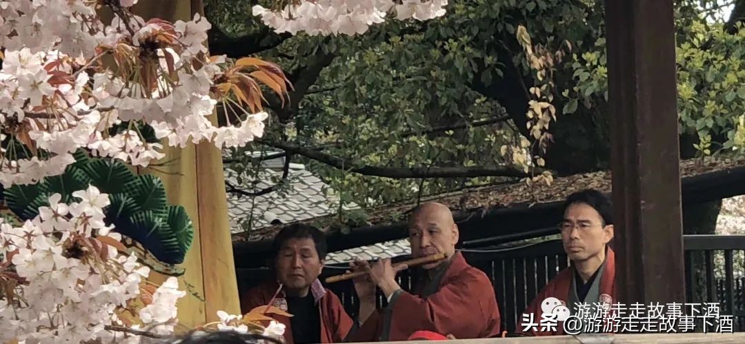 日本印象：樱花生活、排队文化、忠犬八公