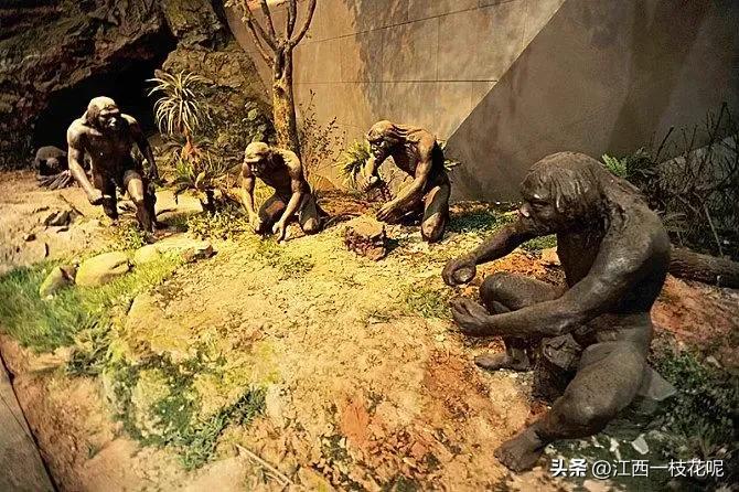 北京猿人头骨失踪之谜,北京人的头骨化石为何神秘消失