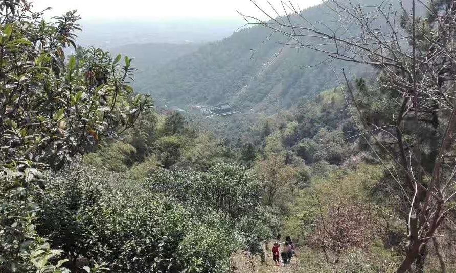 爱旅经常组织的市内登山路线，传说健康的人都去了这里......